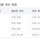 건강뷰티라운지 이미지