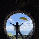 양희회식당 | 늦게 올리는 강릉 여행로그 (feat. 강릉골방)