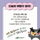 근대로의여행 경제신화도보길 이미지