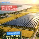(확실한 수입보장) 영농형 태양광사업 활발 영산강. 일조량 최고 미래의 토지 ( 정부정책 + 신재생...