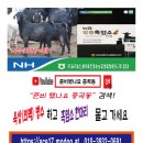 ACE 당구장 이미지