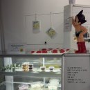 순수그릭 | 군산 수송동 수제 그릭요거트 맛집 ‘순수그릭’ 후기