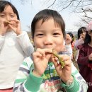 버들어린이집 이미지