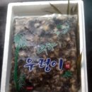 죽향 우렁이 Daum카페