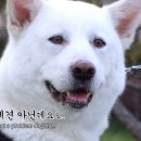 호돌이농장 이미지