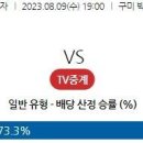 8월9일 남자배구 자료정보 이미지