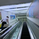 씨월드노래연습장 | (제주애견동반) 씨월드 퀸제누비아2호/펫스탠다드/펫 부대시설/기타부대시설 디테일 찐 리뷰