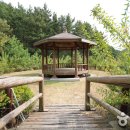 국립희리산해송자연휴양림 이미지