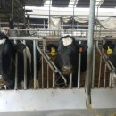 도움목장 이미지