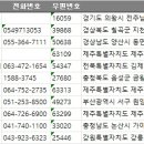 충남전화번호부 이미지