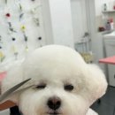 쁘리에숑 이미지