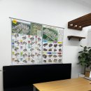 법무사 행정사 김생수 이미지