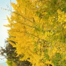 군위군부계면대율보건진료소 이미지