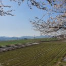 구림축사 이미지
