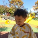 반석어린이공원 네이버블로그