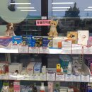 봄봄온누리약국 이미지