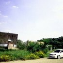 멍뽀인트 이미지