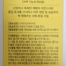 비타광고 | 인스타 광고템 원데이즈유 비타씨 샤워 톤업크림 내돈내산솔직후기