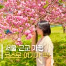 자라섬 주차장 | 가평 자라섬 근처 맛집 타이거카츠 아이랑 여행 일식 돈카츠