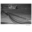 갯벌소리 이미지