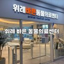 위례 바른 동물의료센터 | 위례 위생미용 가성비 최고 위례바른 동물의료센터 5천원 후기