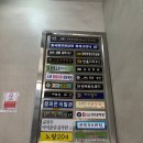 노랑204