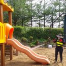 갈담초등학교 | 모래소독 전문 업체 키제코 모래소독 39628번째 경기도 갈담초등학교 &amp; 병설유치원