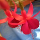 삼지목장 이미지