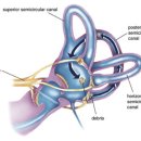 도곡한의원 이미지