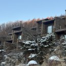 [충북 제천] 퀄리티 좋았던 포레스트 리솜 조식 몬도키친 솔직후기 / 평일 웨이팅