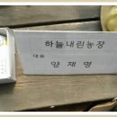 용덕농장 이미지