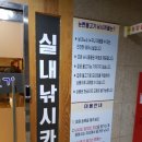 눈삔물고기