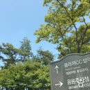 말보로맨 오토캠핑장 | [강원도 고성군] 말보로맨오토캠핑장