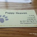 퍼피해븐 이미지