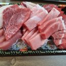 하가본참치