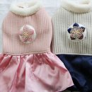 단아한펫 이미지