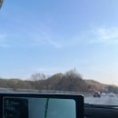 한려동 주민센터 | [여수] 한려동 벚꽃길 / 유탑마리나호텔 / 여수야시장