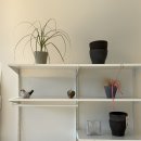 꼬모플레리 이미지