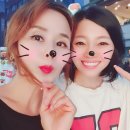 콩콩 이미지