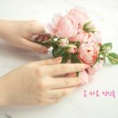 성심상조 - 은평구 통일로 873 | 성심상조