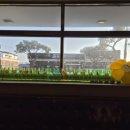 장터옛날통닭함덕점 이미지