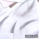 보떼 드 조이