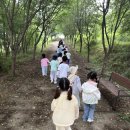 🌳🐝이순신2반 - 숲체험🐝🌳 이미지