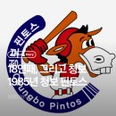 삼미산업 | [KBO 꼴찌팀 이야기] 18연패, 그리고 청보 - 1985년 삼미, 청보 핀토스 이야기