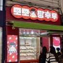 *대구 동성로 탕후루 맛집* 모모탕후루 (링고아메 사과탕후루 있는 곳)
