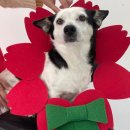 놀러오개 송파점 이미지