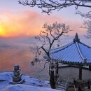 입장교차로(용인방향)