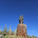 대박환경자원 | 미국 샌디에고 여행 5일차 샌디에고 동물원, 코로나도 방문후기 (2)