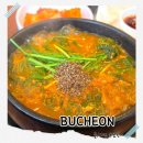 최고당돈가스 춘의점 | 원미산 진달래 축제 맛집 부천 흑염소 전문점 천복집 방문후기