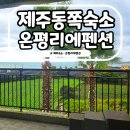 Cu제주표선해변길점 | 제주 동쪽 감성 숙소 표선해수욕장 펜션 온평리에펜션 바베큐장 수영장 세탁기 다 있음